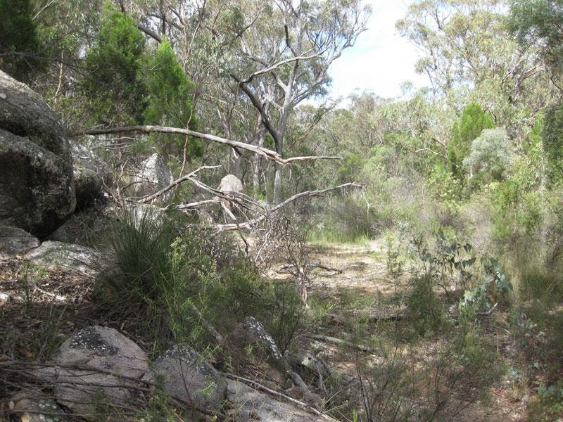 Lot 31 Glenlyon Drive, Stanthorpe QLD 4380