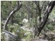 Lot 31 Glenlyon Drive, Stanthorpe QLD 4380