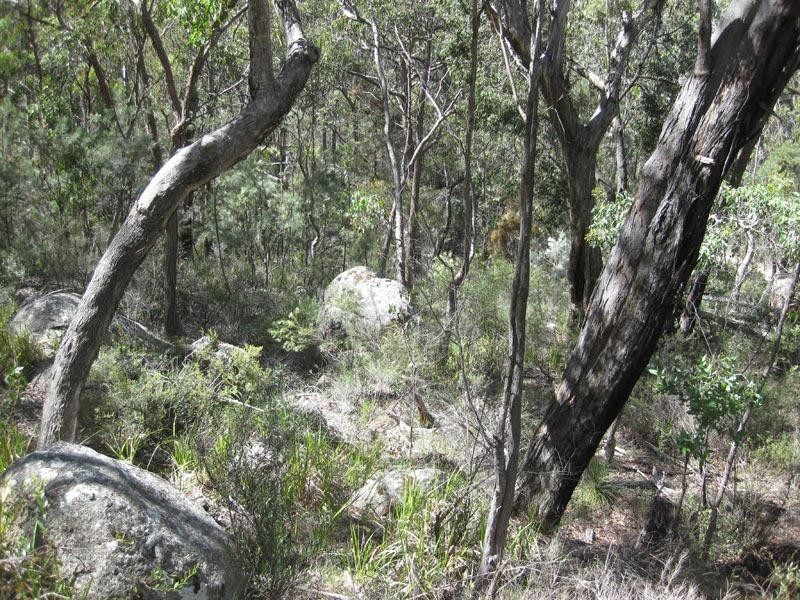 Lot 31 Glenlyon Drive, Stanthorpe QLD 4380