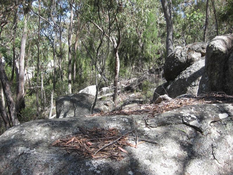 Lot 31 Glenlyon Drive, Stanthorpe QLD 4380