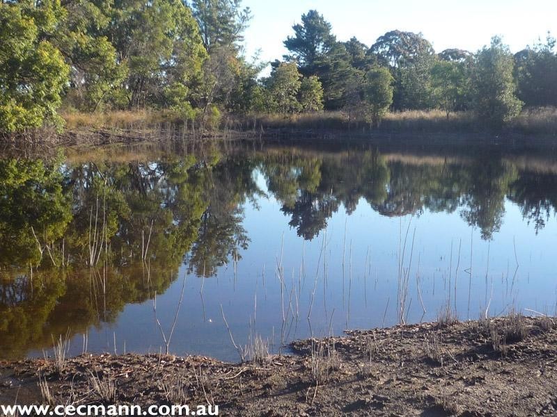 130 Browns Lane, Stanthorpe QLD 4380