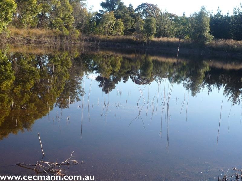 130 Browns Lane, Stanthorpe QLD 4380