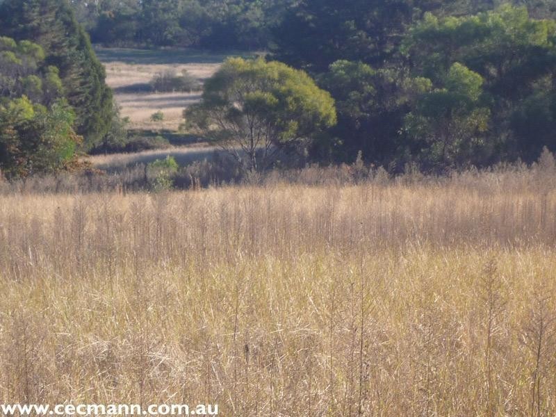 130 Browns Lane, Stanthorpe QLD 4380