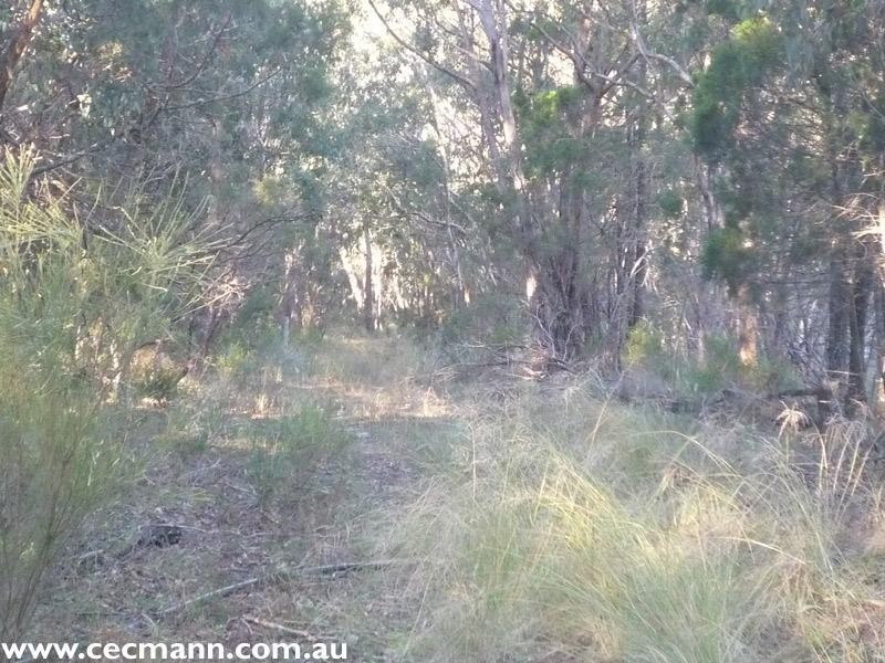 130 Browns Lane, Stanthorpe QLD 4380