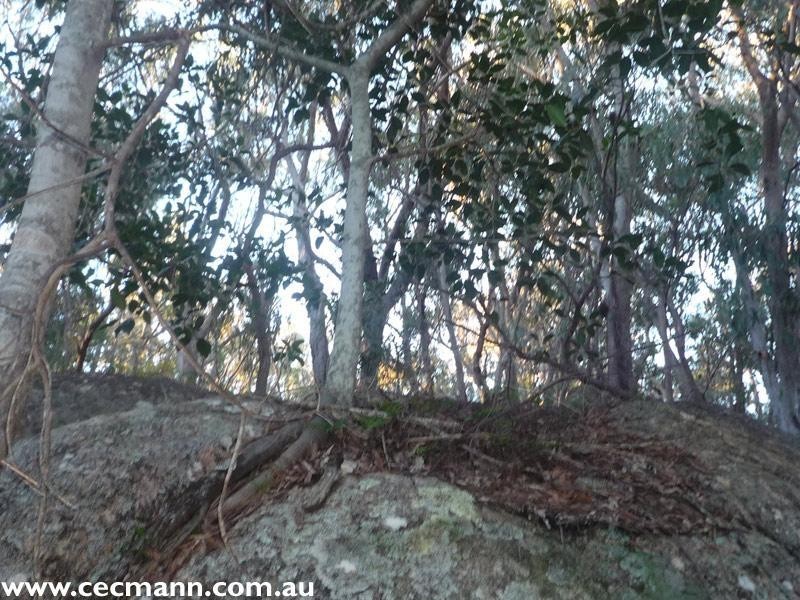 130 Browns Lane, Stanthorpe QLD 4380