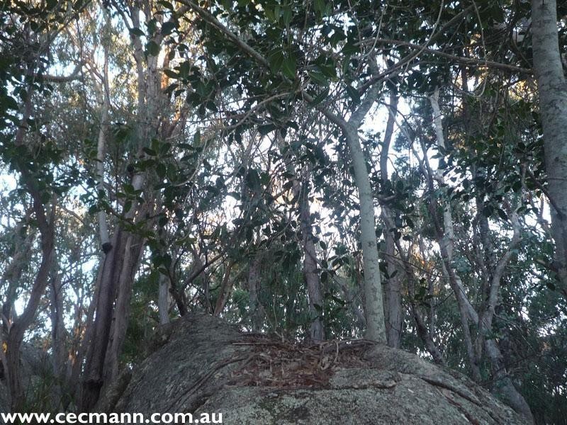 130 Browns Lane, Stanthorpe QLD 4380