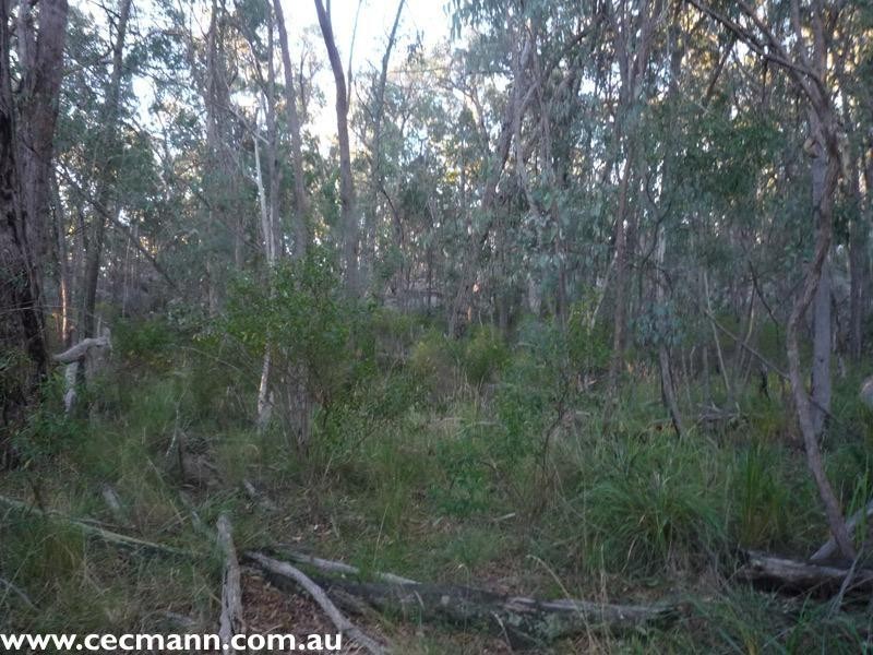 130 Browns Lane, Stanthorpe QLD 4380