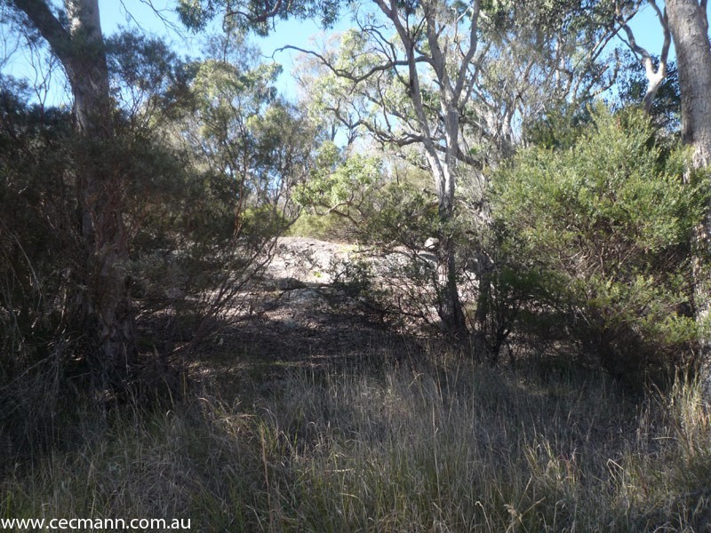 171 Plant Lane, Stanthorpe QLD 4380