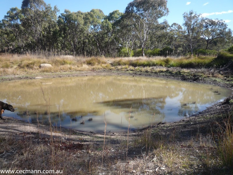 171 Plant Lane, Stanthorpe QLD 4380