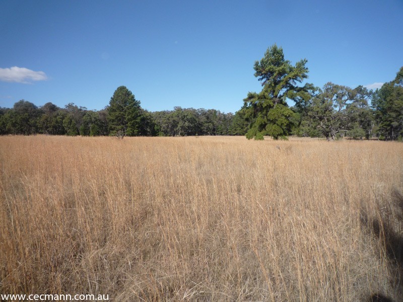 171 Plant Lane, Stanthorpe QLD 4380
