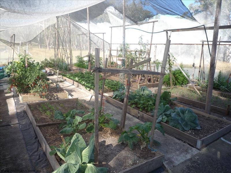 561 Sorrento Road, Stanthorpe QLD 4380