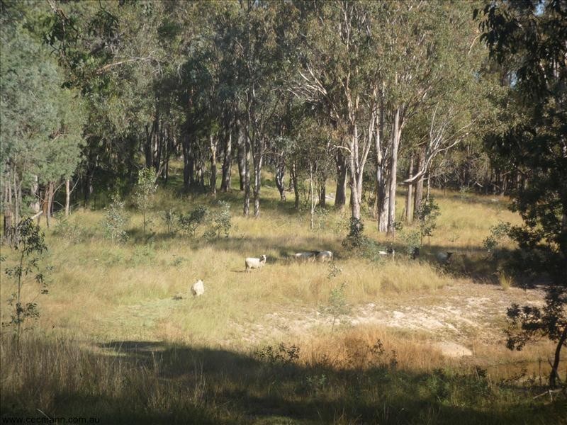 561 Sorrento Road, Stanthorpe QLD 4380