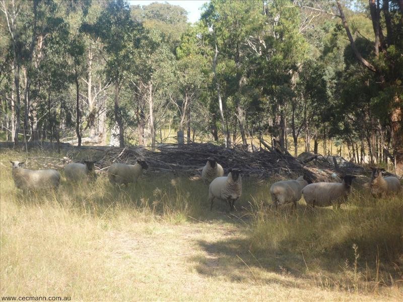 561 Sorrento Road, Stanthorpe QLD 4380