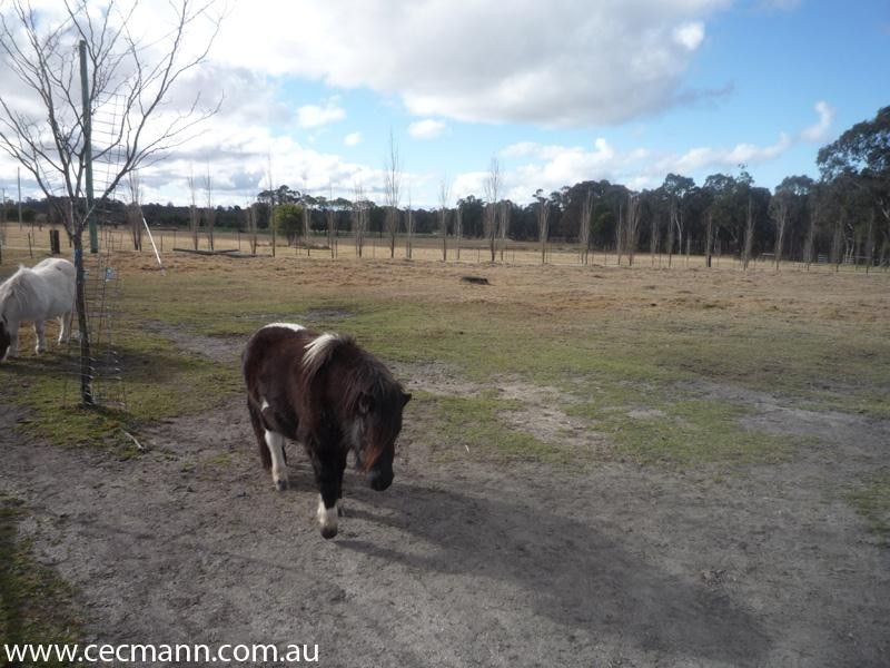 41 Hamilton Road, Stanthorpe QLD 4380