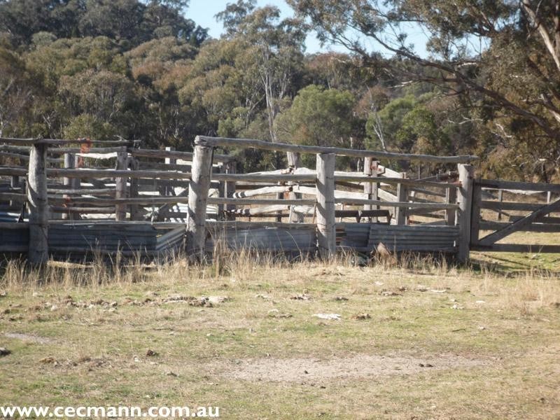 110 Spring Creek Road, Stanthorpe QLD 4380