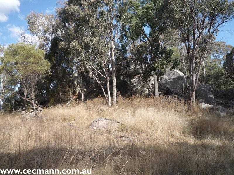 110 Spring Creek Road, Stanthorpe QLD 4380