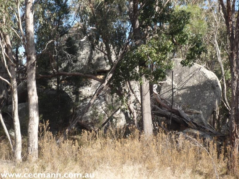 110 Spring Creek Road, Stanthorpe QLD 4380