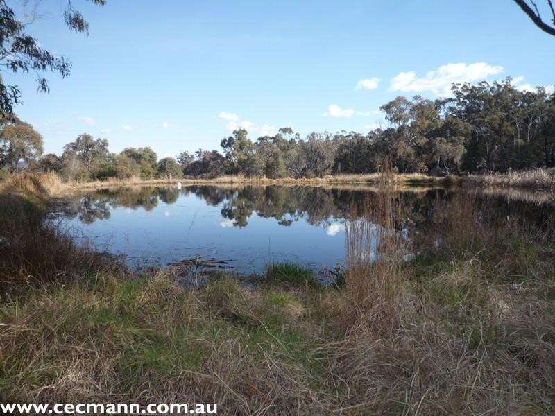 110 Spring Creek Road, Stanthorpe QLD 4380