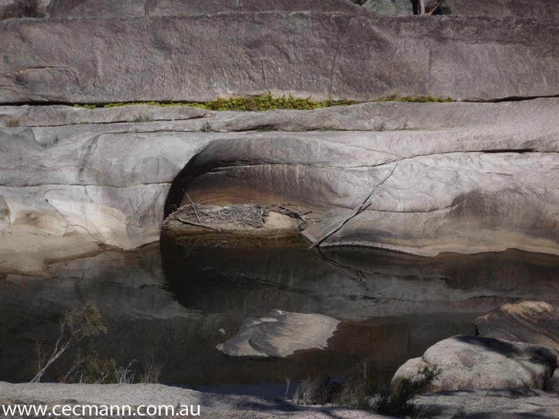 Lot 2 Rapisarda Lane, Stanthorpe QLD 4380