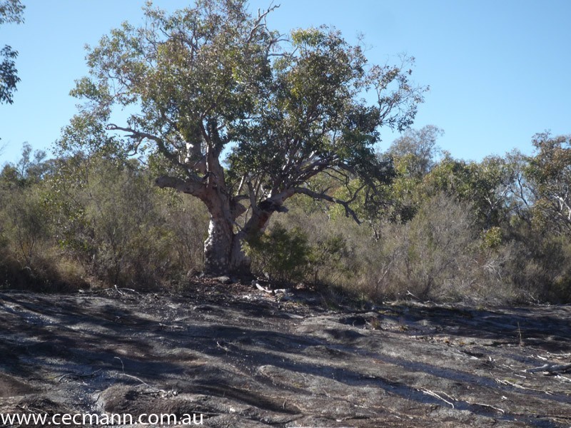 Lot 2 Rapisarda Lane, Stanthorpe QLD 4380