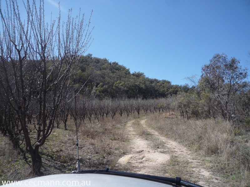 Lot 2 Rapisarda Lane, Stanthorpe QLD 4380
