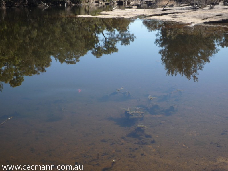 Lot 2 Rapisarda Lane, Stanthorpe QLD 4380