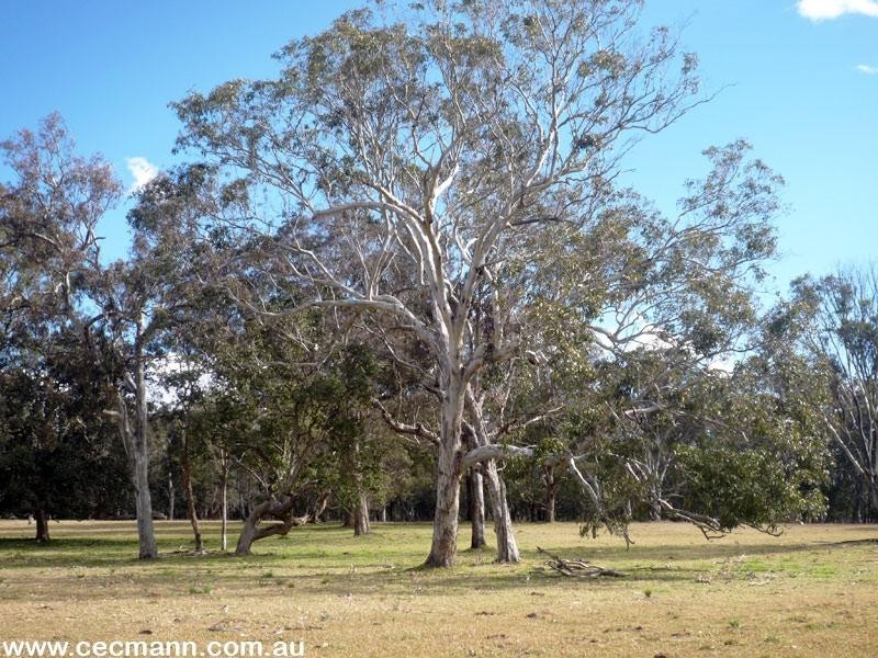 36 Tenterfield Street, Stanthorpe QLD 4380