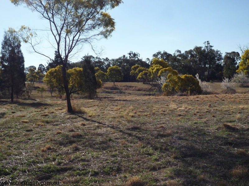 3 Clark Lane, Stanthorpe QLD 4380