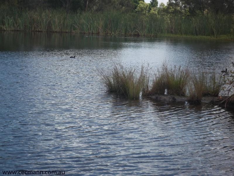 22 Mandelkow Road, Stanthorpe QLD 4380