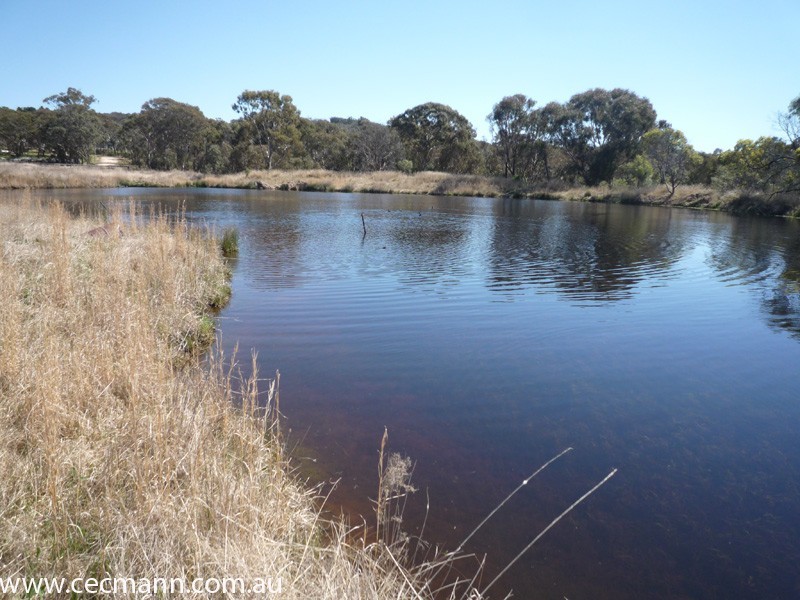 457 Donnelly’s Castle Road, Stanthorpe QLD 4380