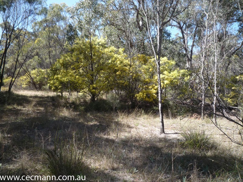 457 Donnelly’s Castle Road, Stanthorpe QLD 4380