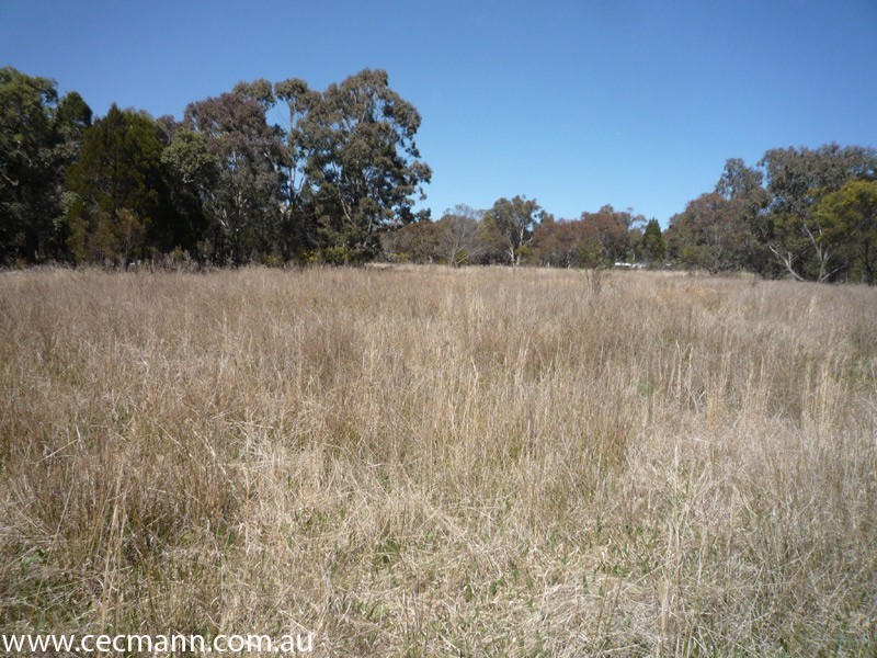 457 Donnelly’s Castle Road, Stanthorpe QLD 4380