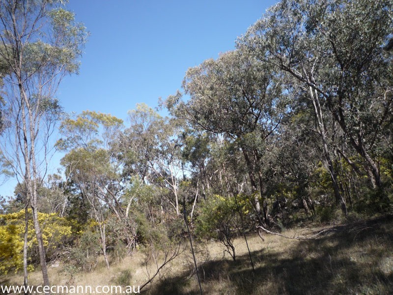 457 Donnelly’s Castle Road, Stanthorpe QLD 4380