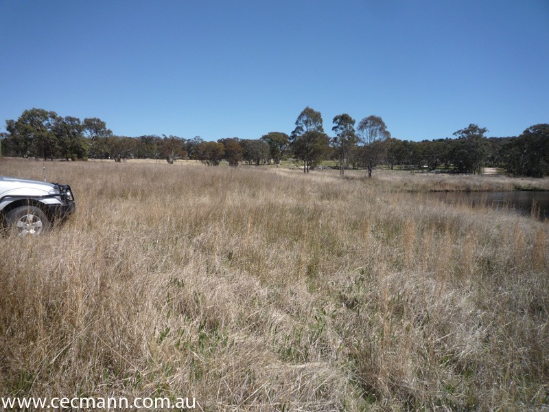 457 Donnelly’s Castle Road, Stanthorpe QLD 4380