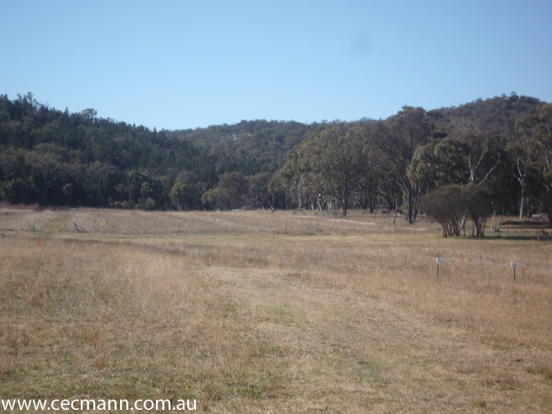 343 Whiskey Gully Road, Stanthorpe QLD 4380