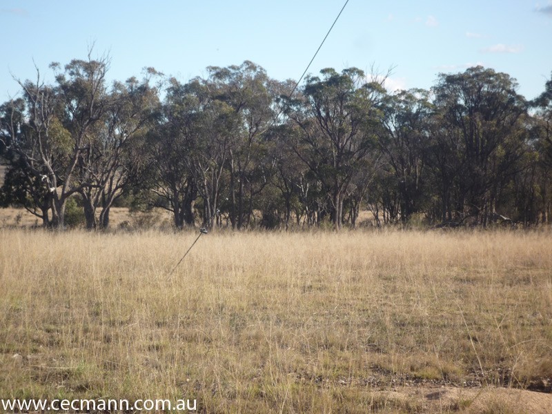 343 Whiskey Gully Road, Stanthorpe QLD 4380