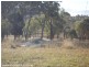 343 Whiskey Gully Road, Stanthorpe QLD 4380