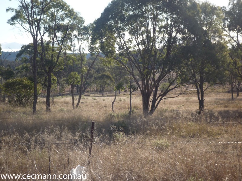 343 Whiskey Gully Road, Stanthorpe QLD 4380