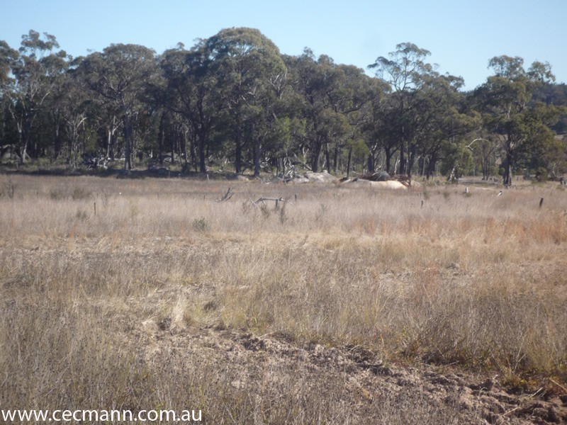 343 Whiskey Gully Road, Stanthorpe QLD 4380