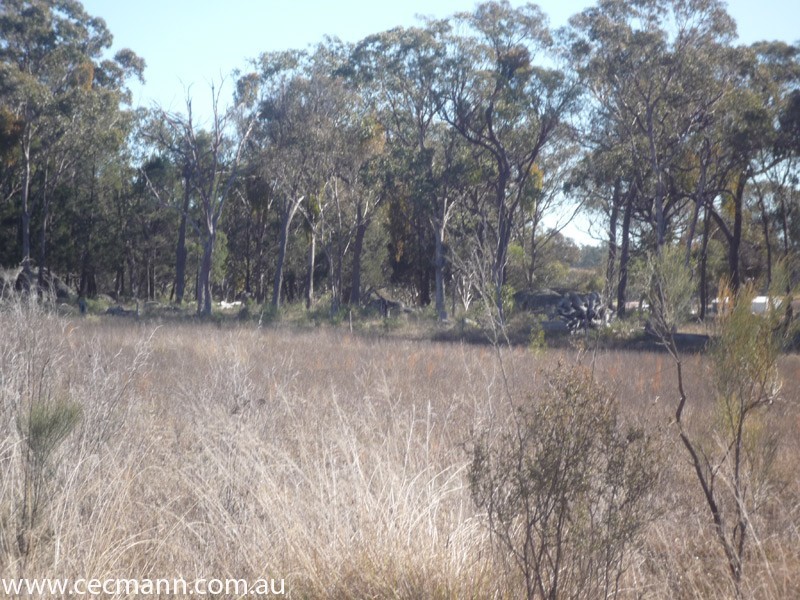 343 Whiskey Gully Road, Stanthorpe QLD 4380