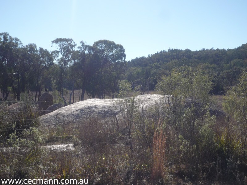 343 Whiskey Gully Road, Stanthorpe QLD 4380