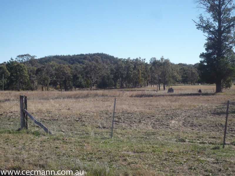 343 Whiskey Gully Road, Stanthorpe QLD 4380