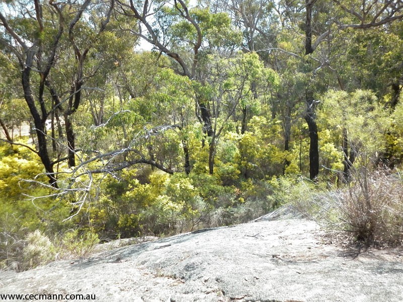 27 Brunckhorst Avenue, Stanthorpe QLD 4380