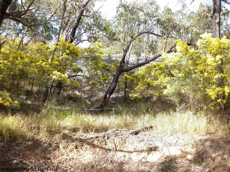 27 Brunckhorst Avenue, Stanthorpe QLD 4380