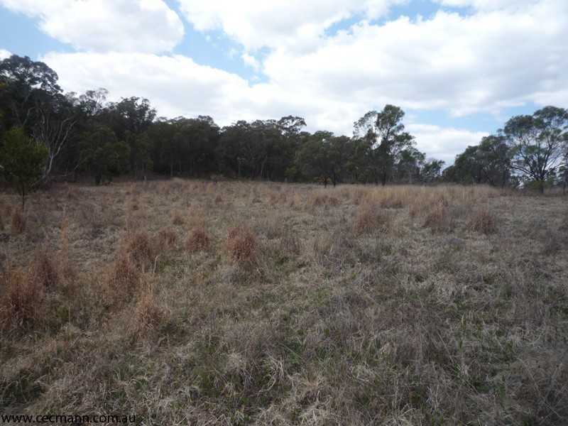 213 Nicholson Road, Stanthorpe QLD 4380