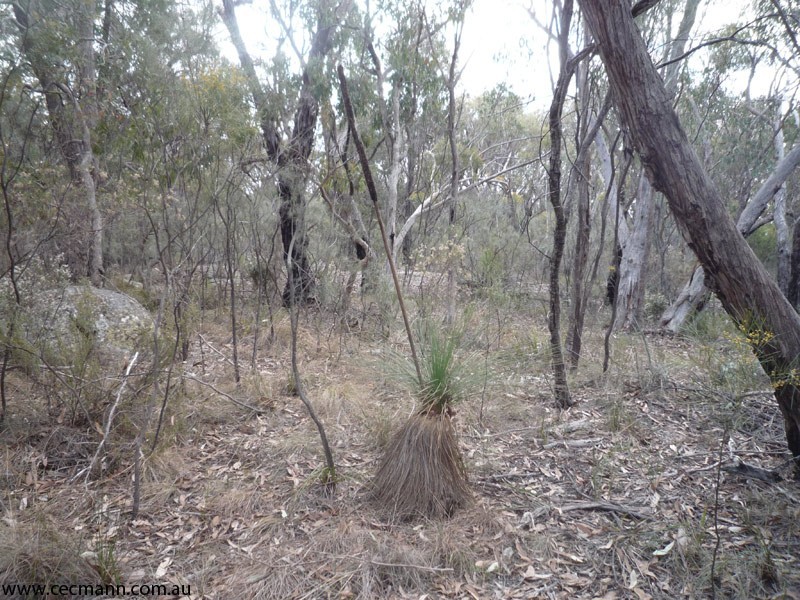213 Nicholson Road, Stanthorpe QLD 4380
