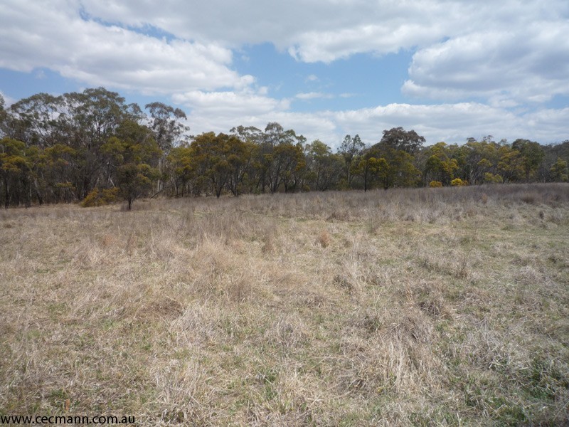 213 Nicholson Road, Stanthorpe QLD 4380