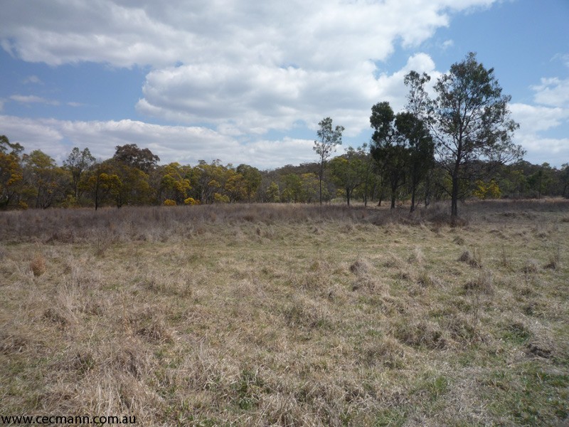 213 Nicholson Road, Stanthorpe QLD 4380