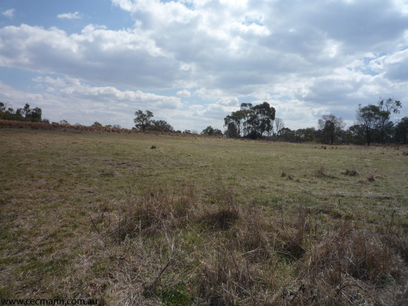 213 Nicholson Road, Stanthorpe QLD 4380