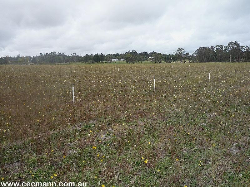 277 Granite Belt Drive, Stanthorpe QLD 4380